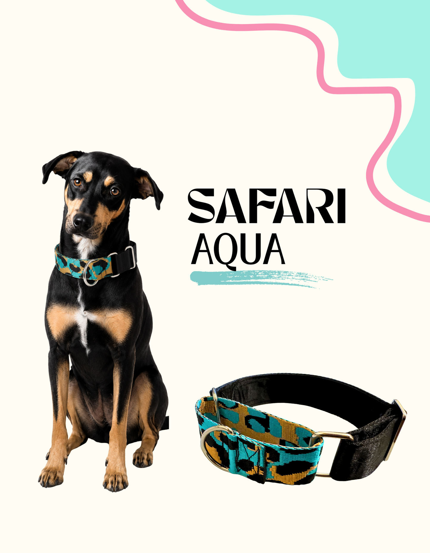 Collar Martingale Safari Aqua