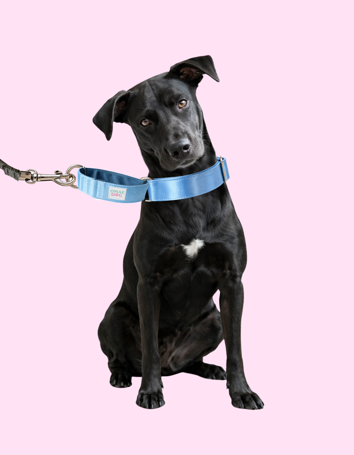 Collar Martingale Arctic Blue