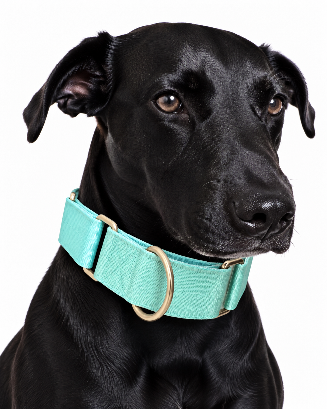 Collar Martingale Masha Mint