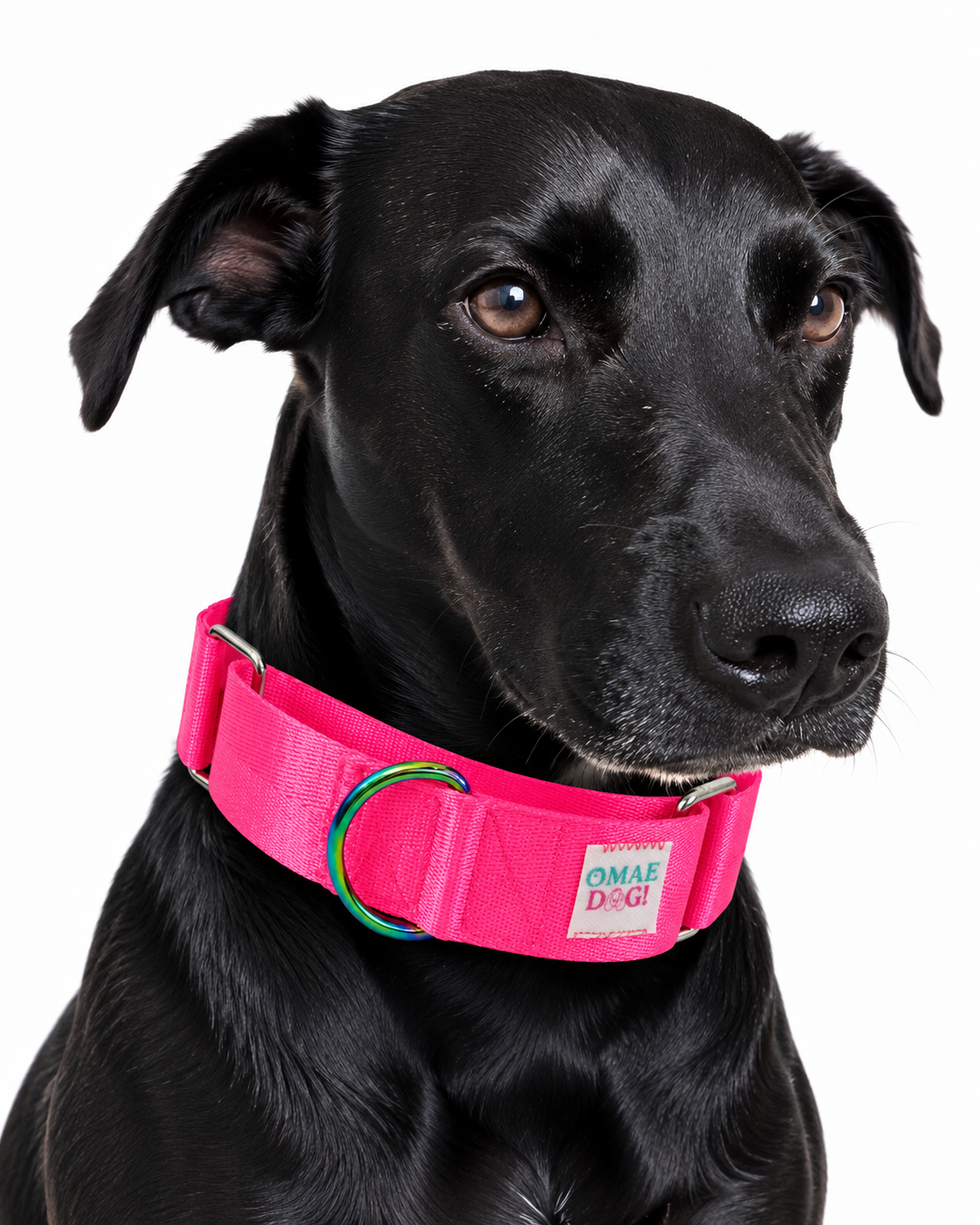 Collar Martingale Neón Pink