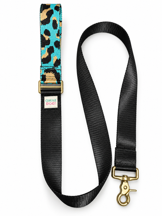 Correa Safari Aqua