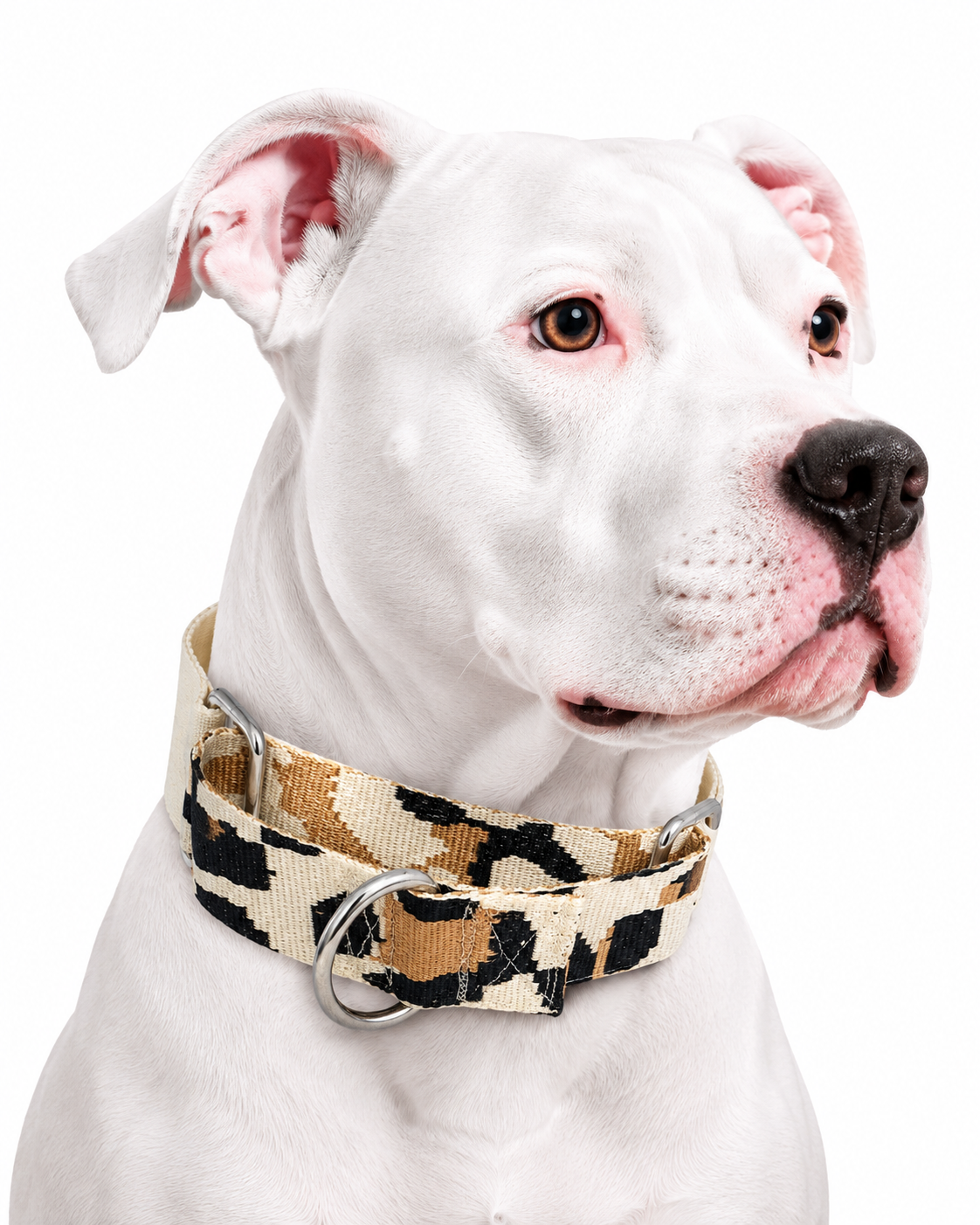 Collar Martingale Safari Vanilla