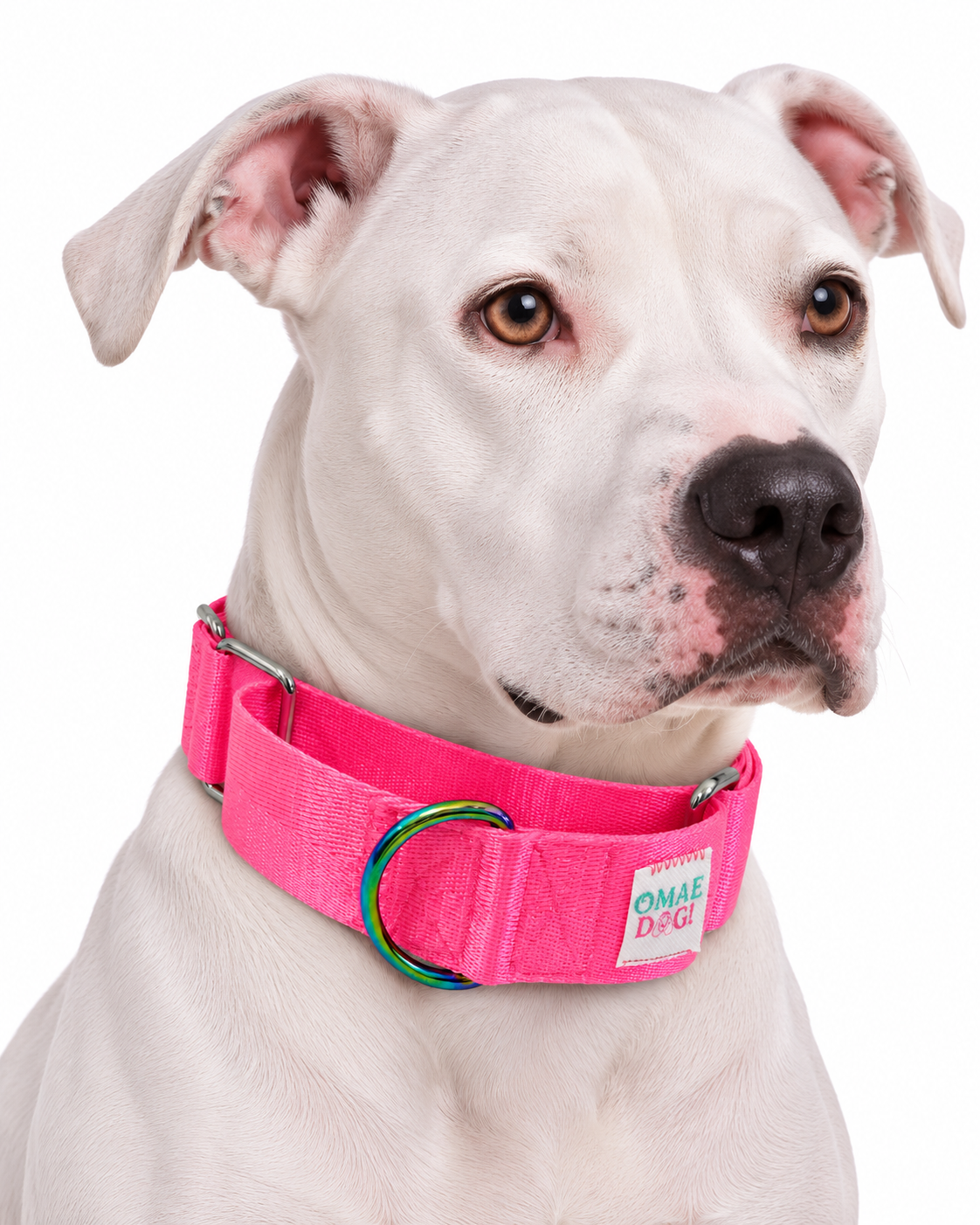 Collar Martingale Neón Pink