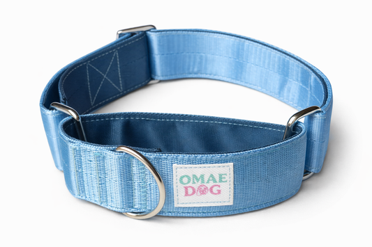 Collar Martingale Arctic Blue