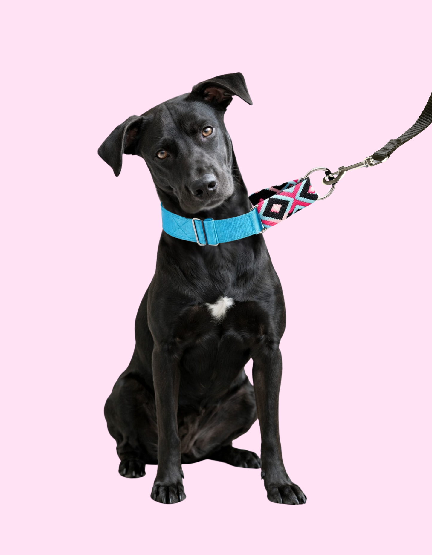 Collar Martingale Boho Blue