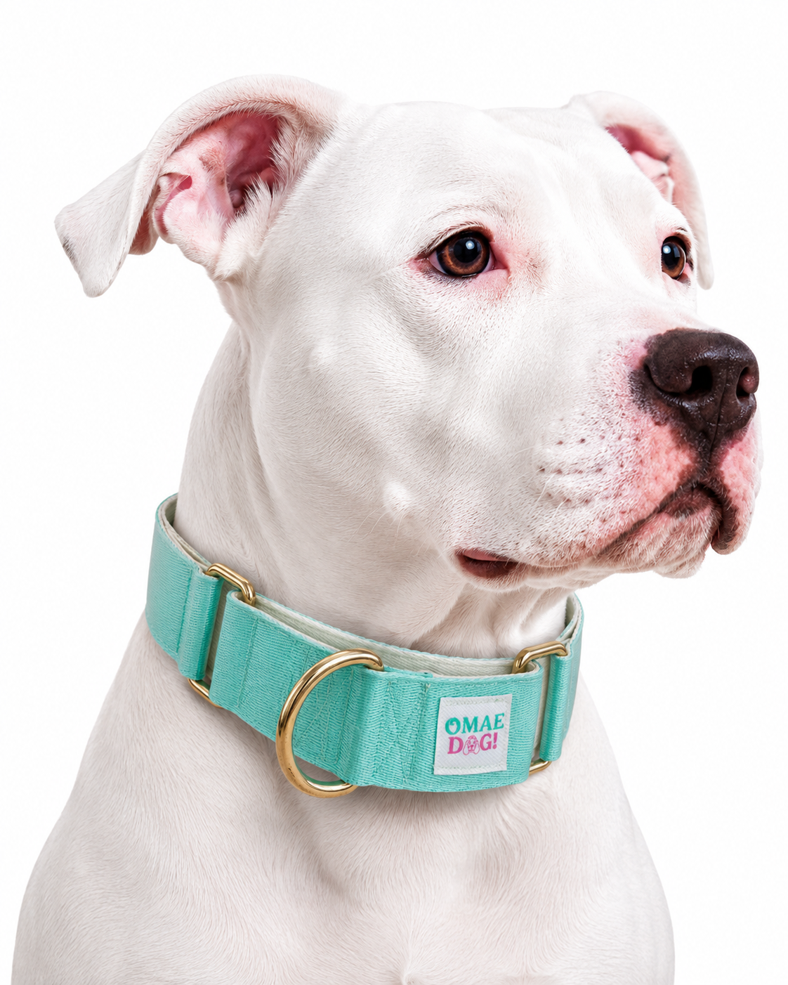 Collar Martingale Masha Mint