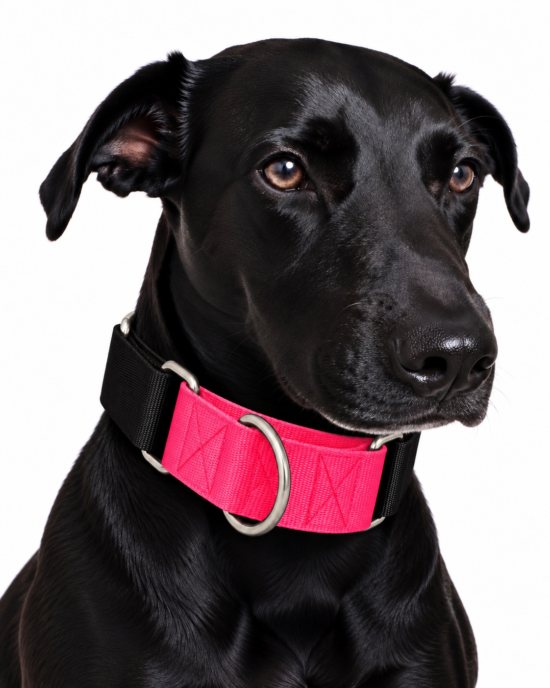 Neon Pink & Black
