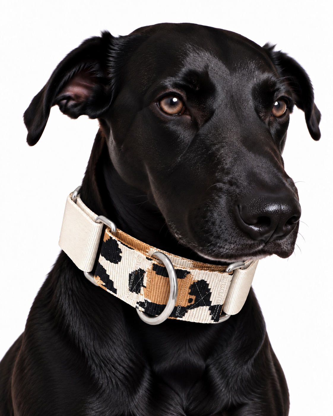 Collar Martingale Safari Vanilla